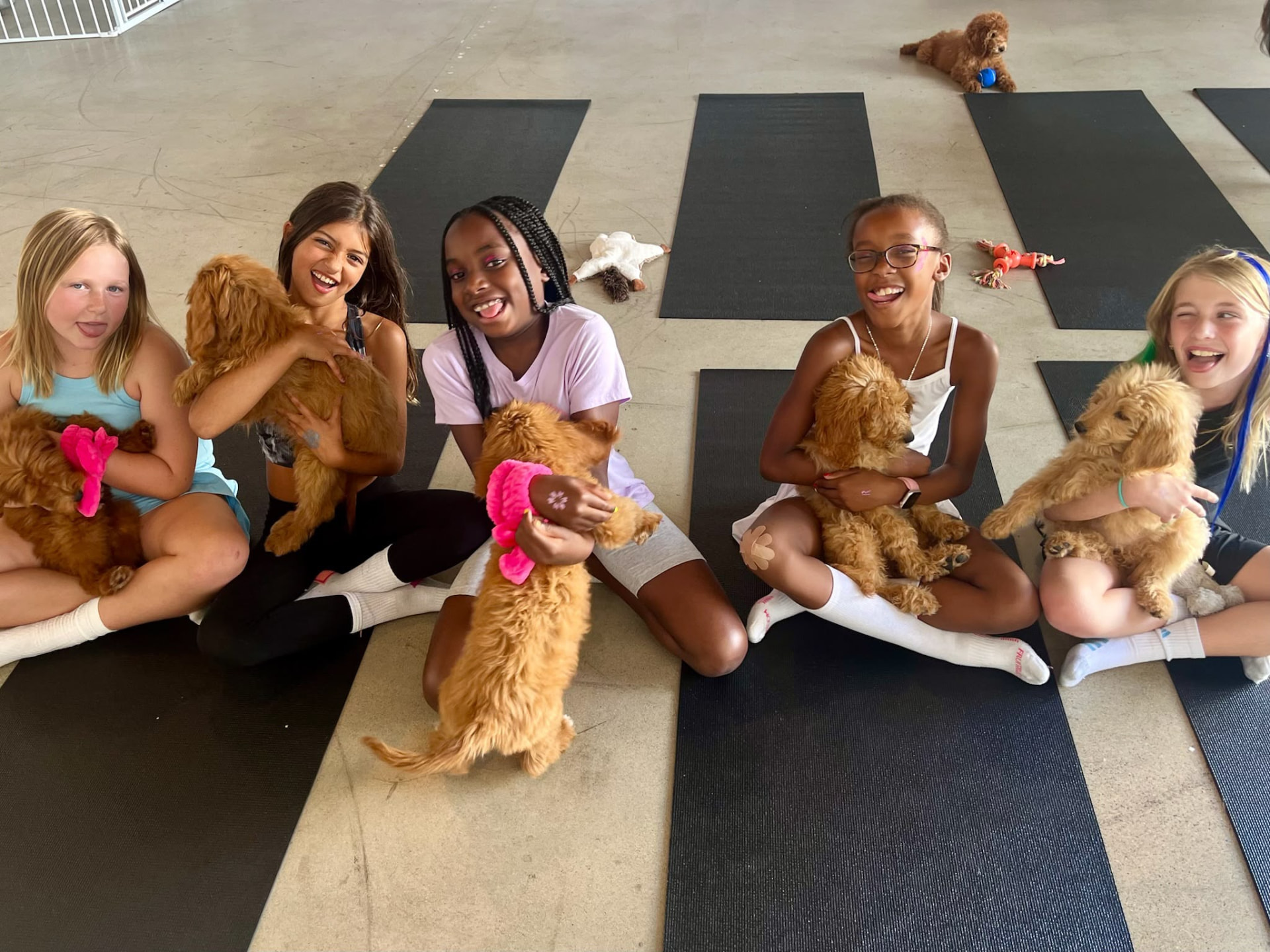 Kids birthday puppy yoga session on mats